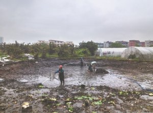 平陆河道鱼塘清淤